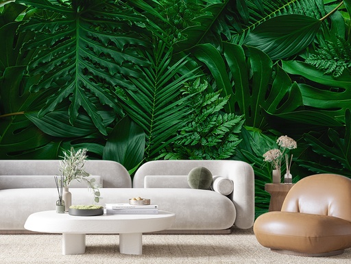 Monstera in Grün, tropisch