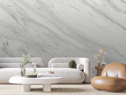 Weißer Marmor, elegante graue Adern